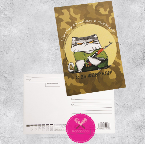картинка Открытка/ Почтовая карточка «23 февраля» суровый кот, 10/15 см от магазина KondiShop